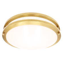 Luxrite LR23295 - LED10&#34;FLUSH/DR/BRS/5CCT/D