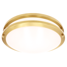 Luxrite LR23296 - LED12&#34;FLUSH/DR/BRS/5CCT/D