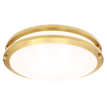 Luxrite LR23297 - LED14&#34;FLUSH/DR/BRS/5CCT/D