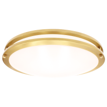 Luxrite LR23299 - LED18&#34;FLUSH/DR/BRS/5CCT/D