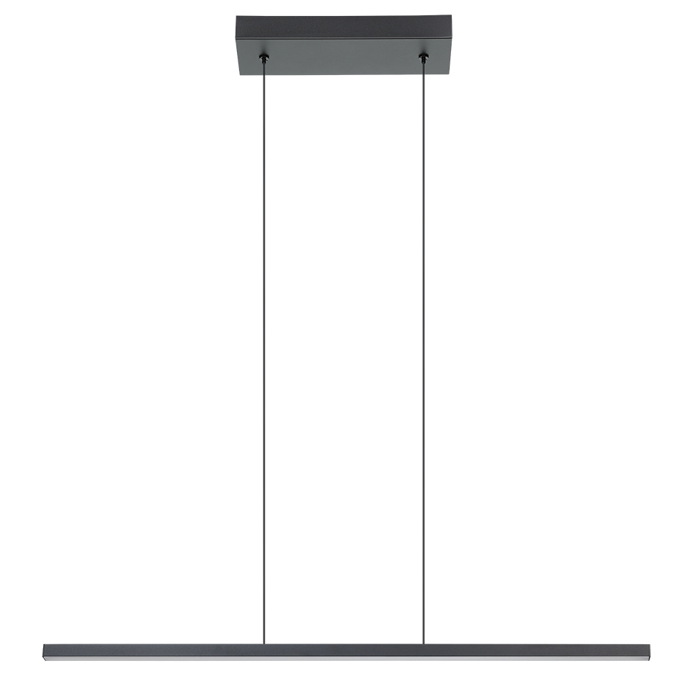 1 LT LED Linear Pendant