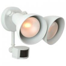 Outdoor Directional Lights