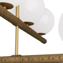 DLC01.d5.jpg