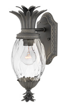 Hinkley Merchant 2126MB - Medium Wall Mount Lantern