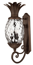 Hinkley Merchant 2224CB - Large Wall Mount Lantern