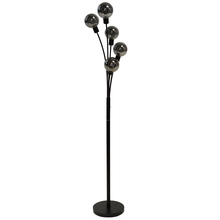 Dainolite 306F-BK - 5LT Incandescent Floor Lamp, Black w/Smoked Glass